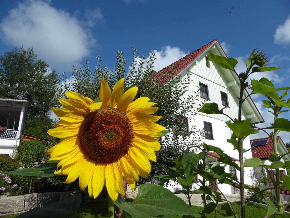 Erholungsraum Karsee - Ferienwohnung Wangen im Allgaeu Luaran gambar