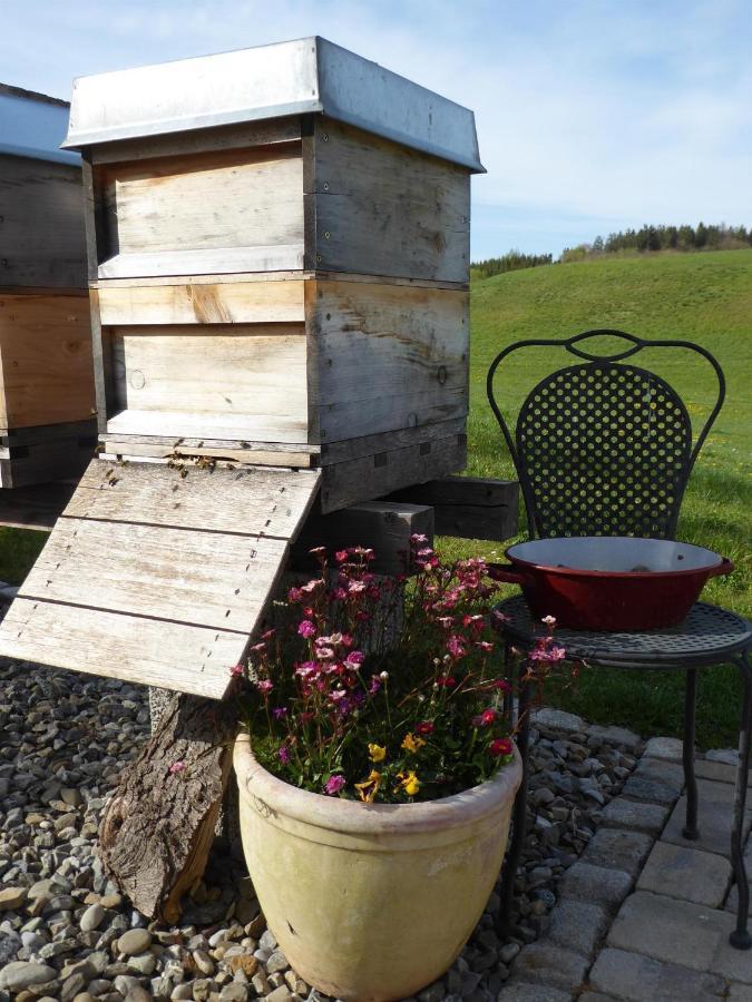 Erholungsraum Karsee - Ferienwohnung Wangen im Allgaeu Luaran gambar